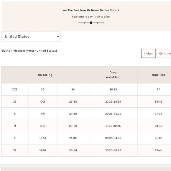 NWT Free People Now Or Never Denim Shorts in Moon Child - Picture 7 of 7